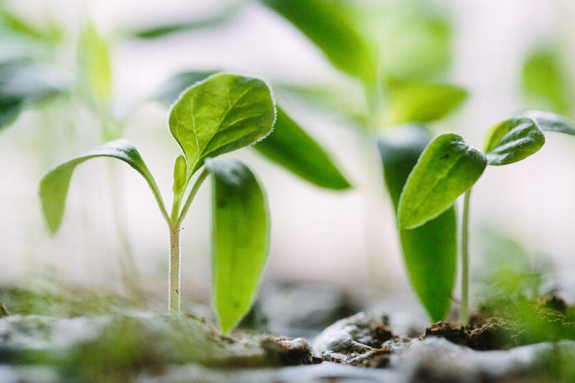 2 Key Resources to Expand Your Investment and Economic Knowledge