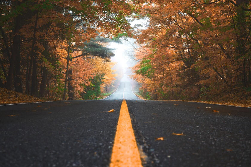 Three Resources to Help Simplify Your Personal Finance Journey