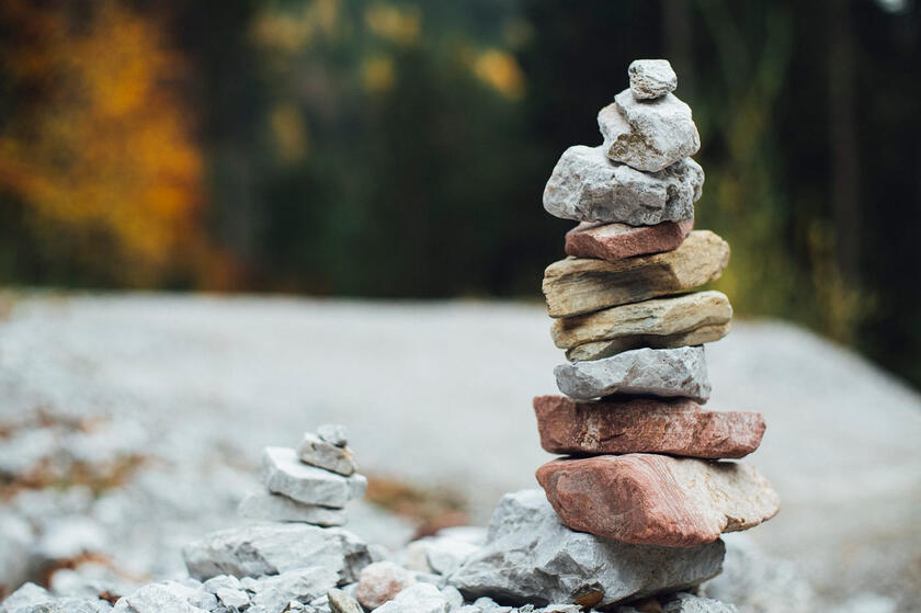 A Quick Overview of the Vanguard Growth Index Fund