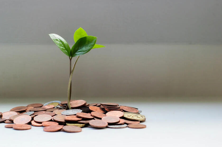 Financial Independence: Steps to Achieve Early Retirement