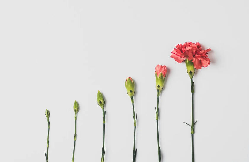 The Lazy Investor’s Guide to Building Wealth Automatically