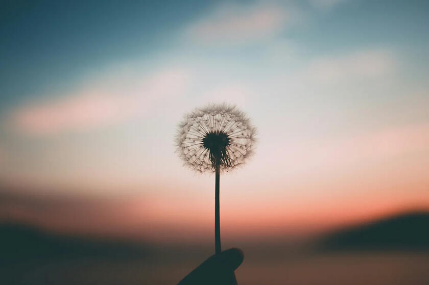 Breaking Free from Money Stress: Steps Toward Financial Peace