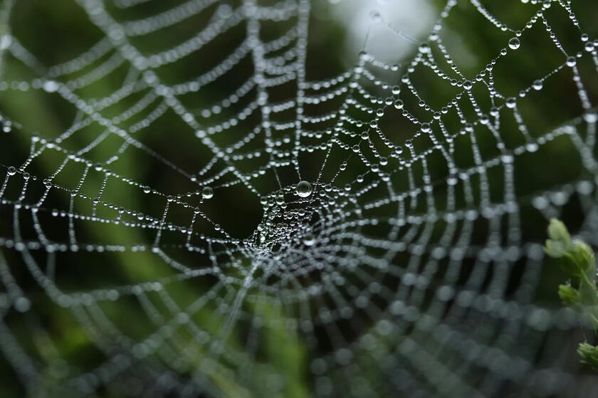 Avoiding Rookie Mistakes: 5 Common Investing Traps