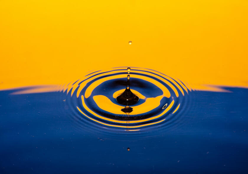 3 Quick Facts to Simplify a Dividend Reinvestment Plan
