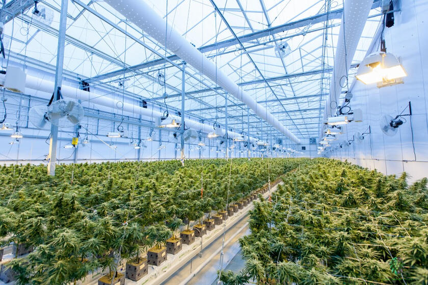 2 Cannabis ETFs to Add to Your Watchlist